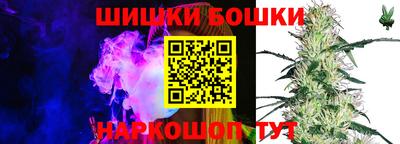 a pvp Аргун