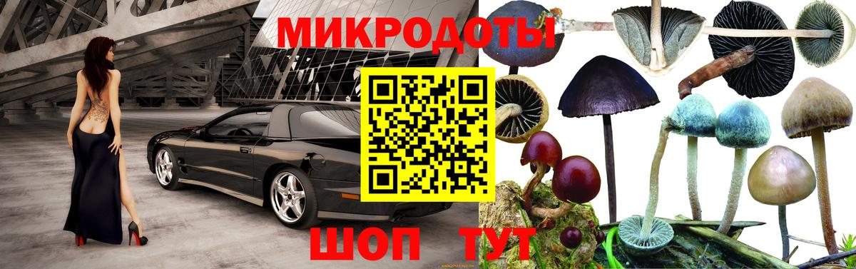 Волжский  Псилоцибиновые грибы мухоморы  Псилоцибиновые грибы ЛСД  Вход с VPN 